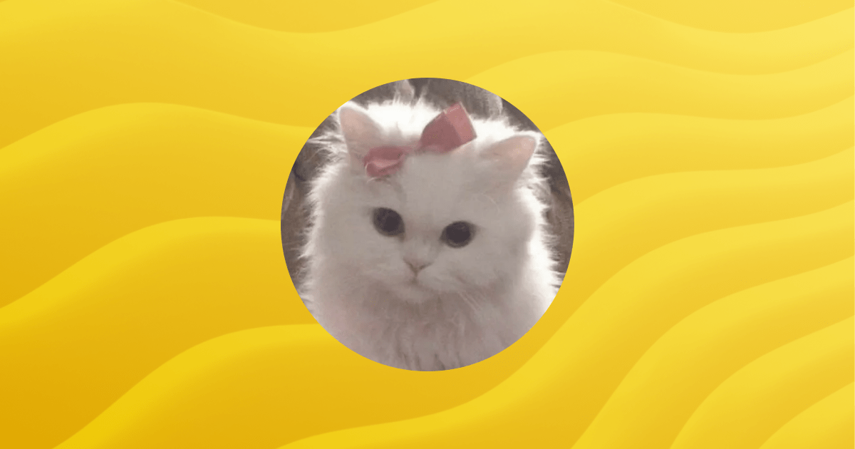 Archmaximos Profile Guilded - Premium Vintage Design Gallery - Retina