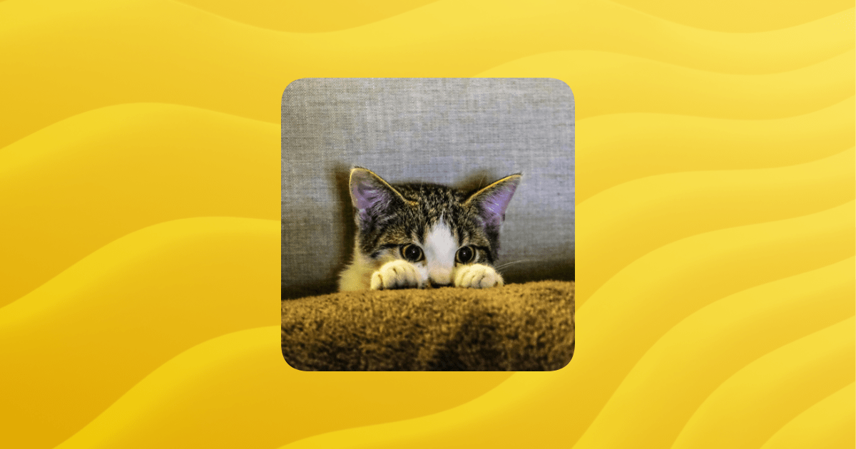 Overview Cats Guilded - Premium City Picture Gallery - 8K