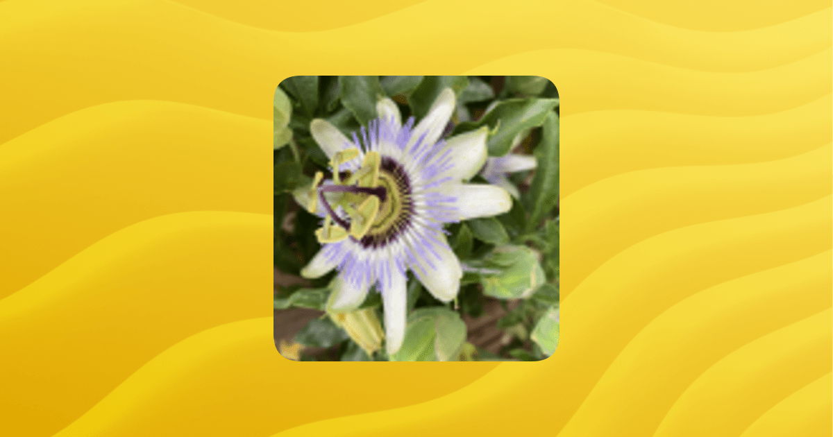 Overview Post War Society Guilded - Premium Colorful Photo Gallery - Mobile