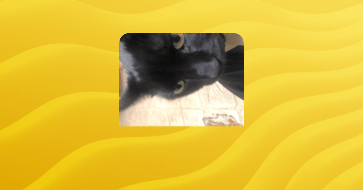 Overview Sigmaclient Guilded - Ultra HD Mobile Ocean Backgrounds | Free Download