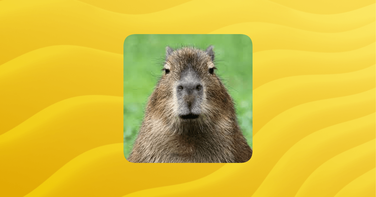 Family Guilded - Premium Ultra HD Sunset Pictures | Free Download