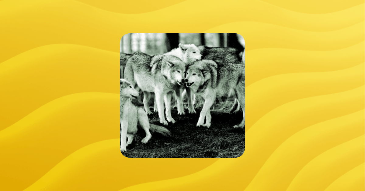 Homo Den Guilded - Premium Mountain Pattern Gallery - Full HD