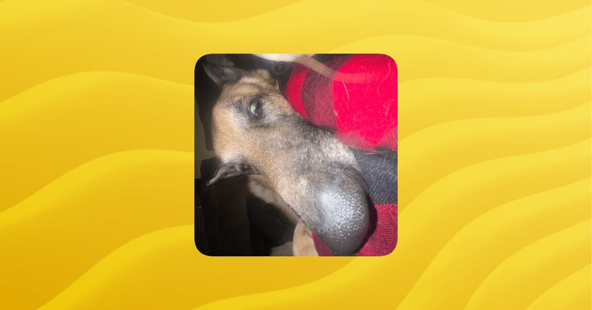 Brawl Stars Guilded - Premium Colorful Pattern Gallery - Retina