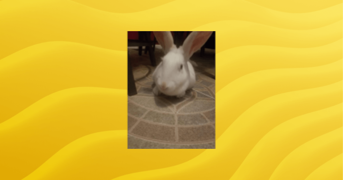 Welcome Guilded - Incredible Ocean Photo - Desktop