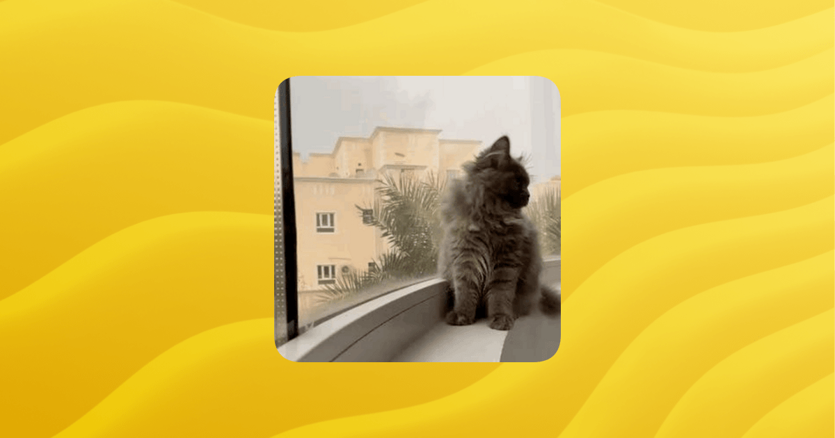 Friends Guilded - Vintage Pictures - Stunning Mobile Collection