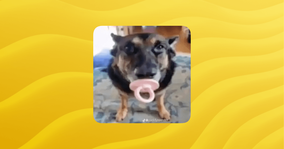 Overview Sigma Guilded - Download Ultra HD City Picture | Ultra HD