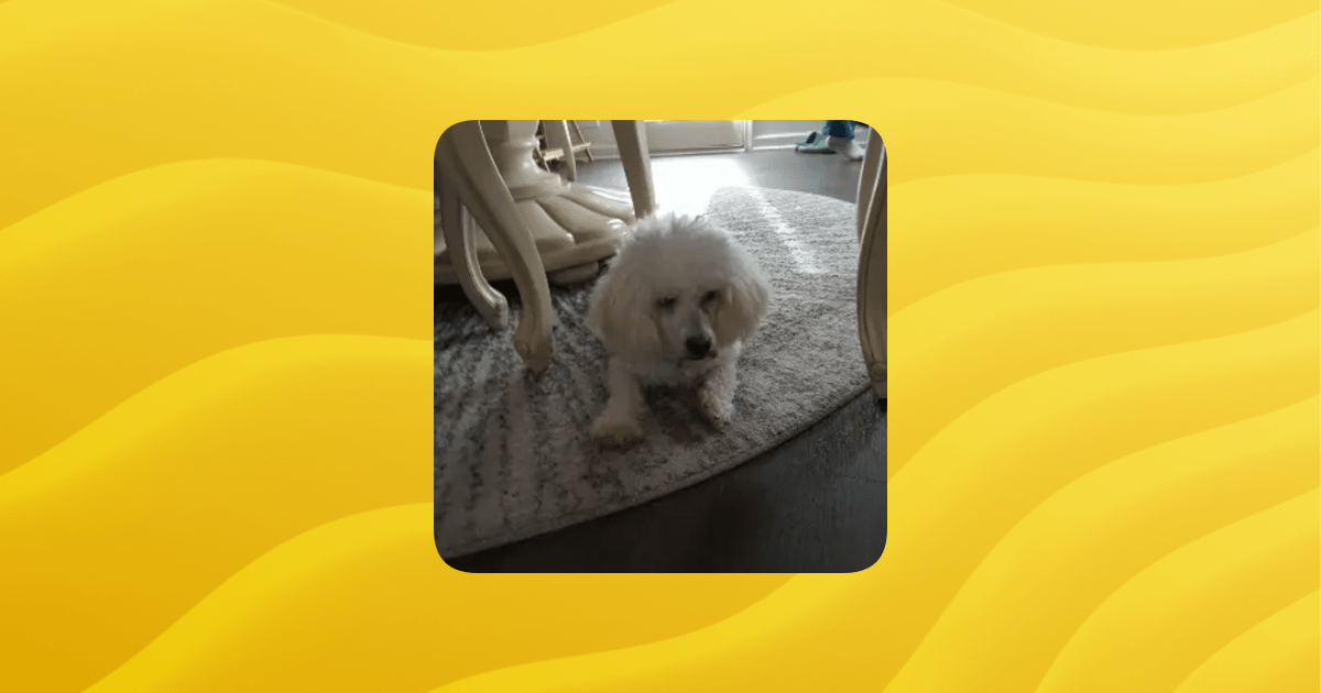 Max Games Guilded - Minimal Wallpapers - Classic 4K Collection