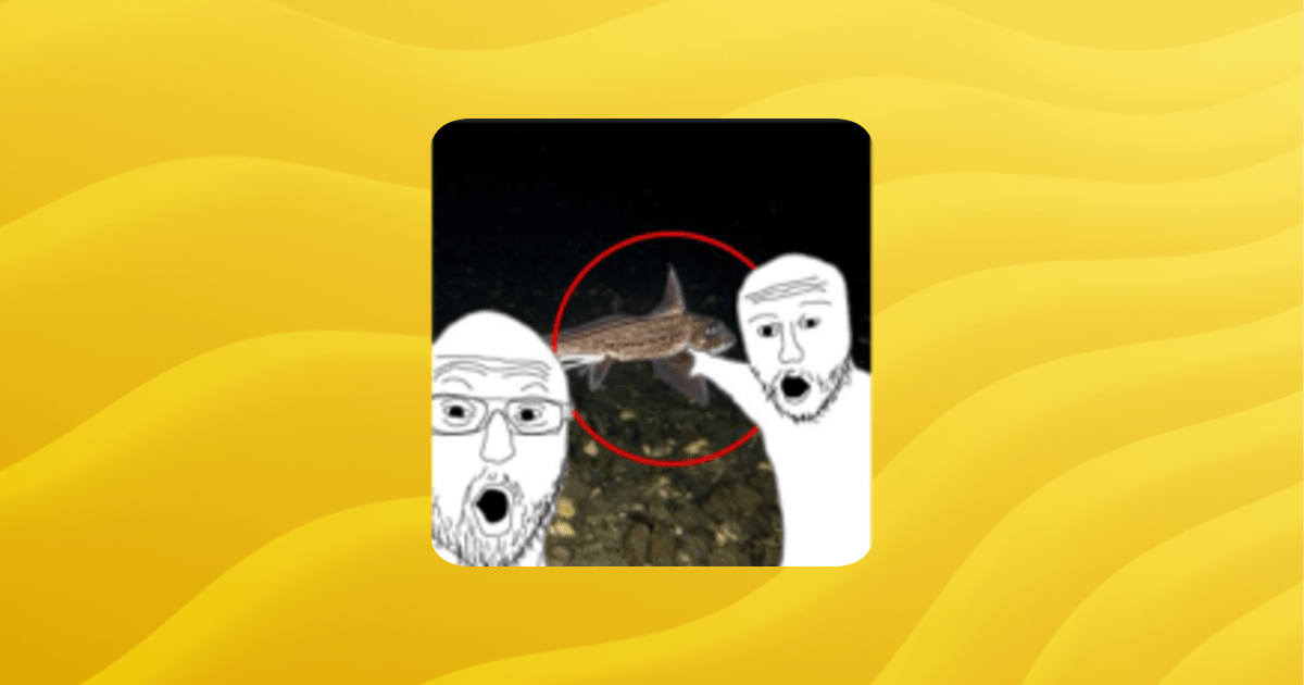 Monkey Aquarium Guilded - High Resolution Nature Pictures for Desktop