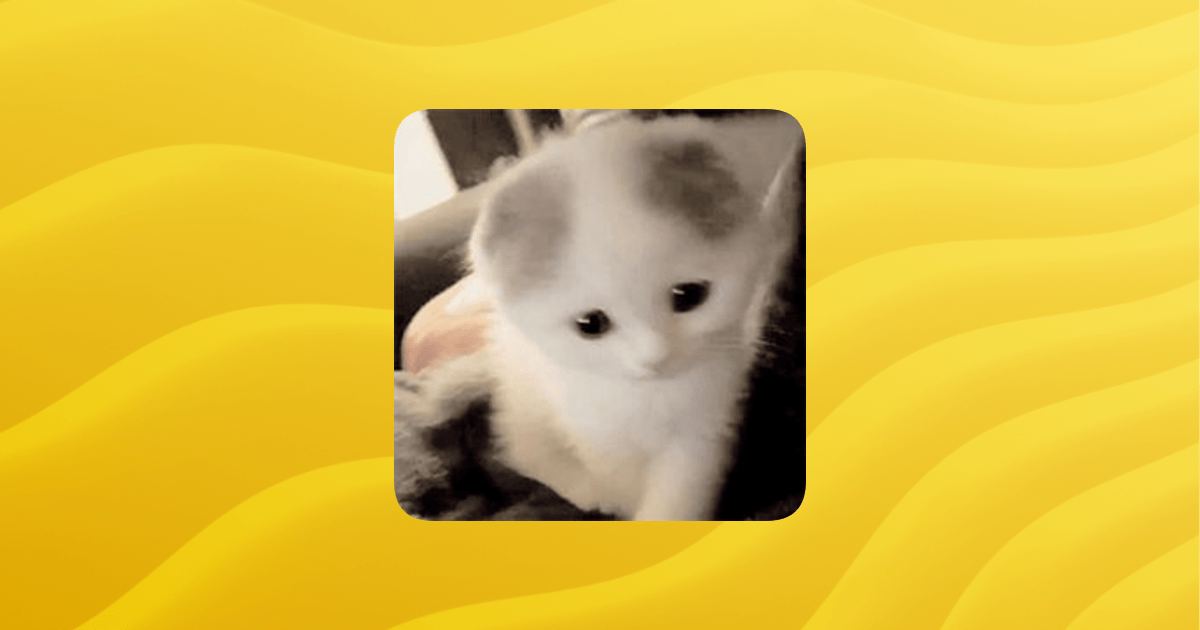 Social Lab Members Guilded - Best Space Wallpapers in Desktop