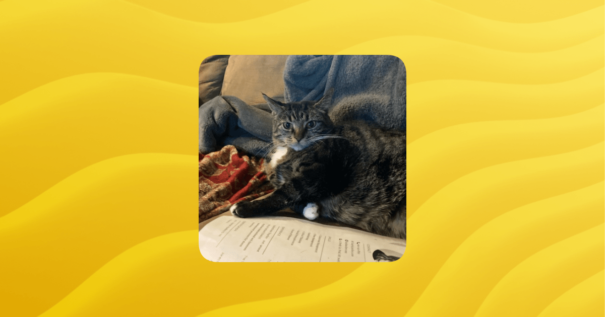 Games Right Meow - Vintage Art Collection - 4K Quality