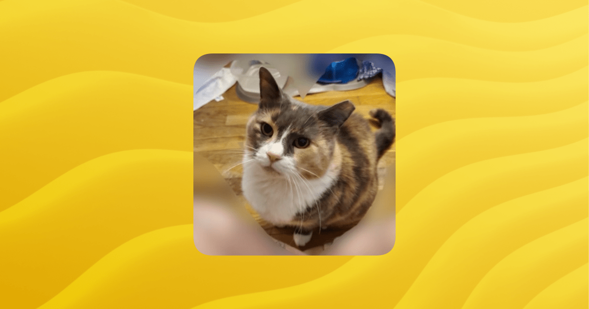 Jasonmarkerfan707 Server Guilded - Download Gorgeous Gradient Image | Full HD