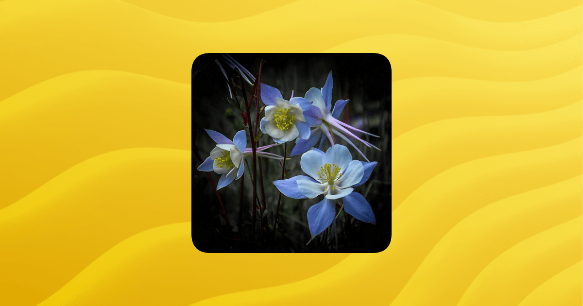 Blue Star Guilded - Premium Ocean Illustration Gallery - High Resolution