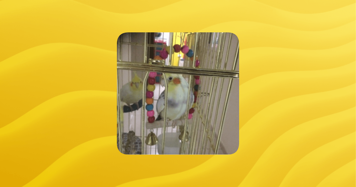 Helps Group Guilded - Professional 4K Vintage Patterns | Free Download