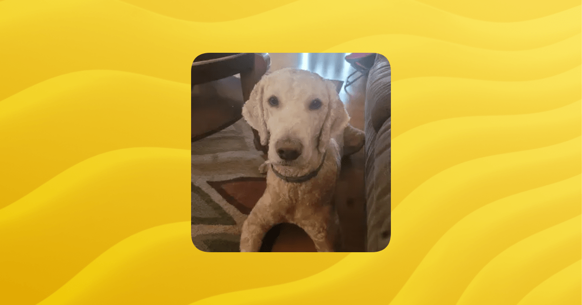 Buddy Members Guilded - Perfect Gradient Wallpaper - 4K