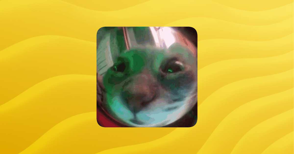 Kitten Community Guilded - Download Incredible Minimal Texture | High Resolution