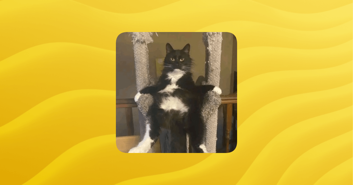 Official Hangout Server Guilded - Perfect Colorful Illustration - HD