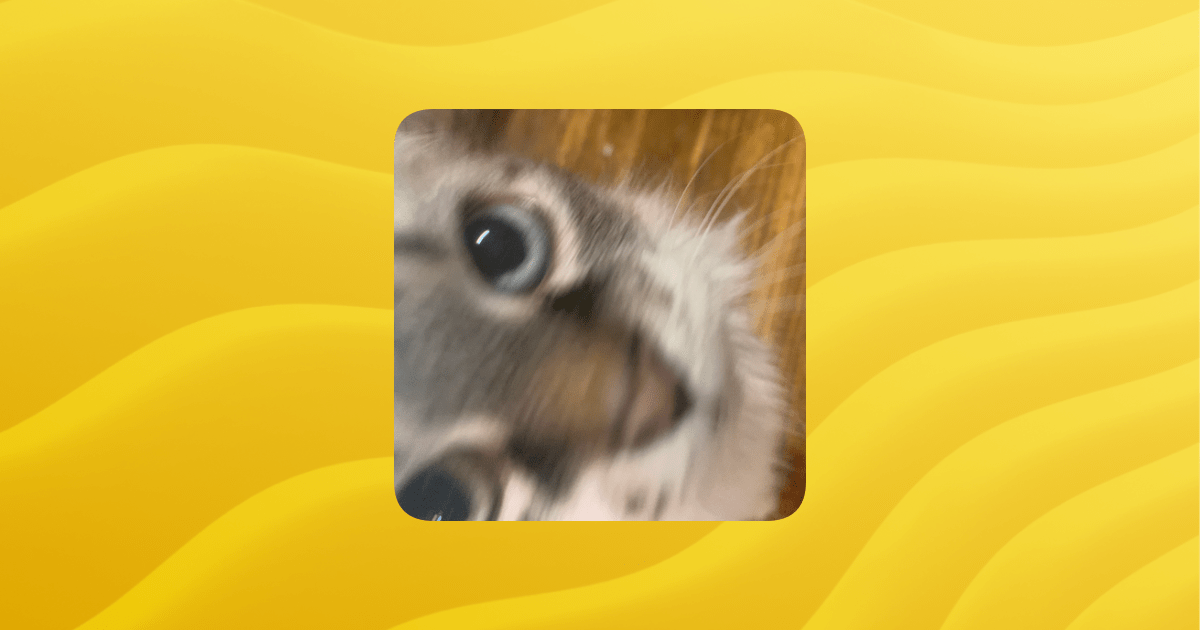 Overview Kitten Community Guilded - Premium Light Art Gallery - Full HD