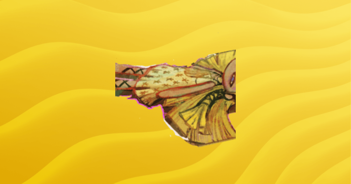 Public Servers Open Entry Guilded - Abstract Photos - Classic Retina Collection