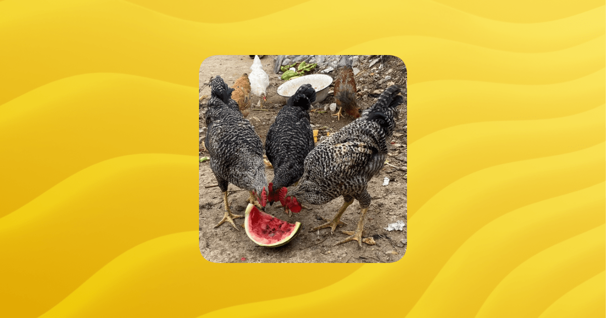 Randomized Server Members Guilded - Download Premium City Background | 8K