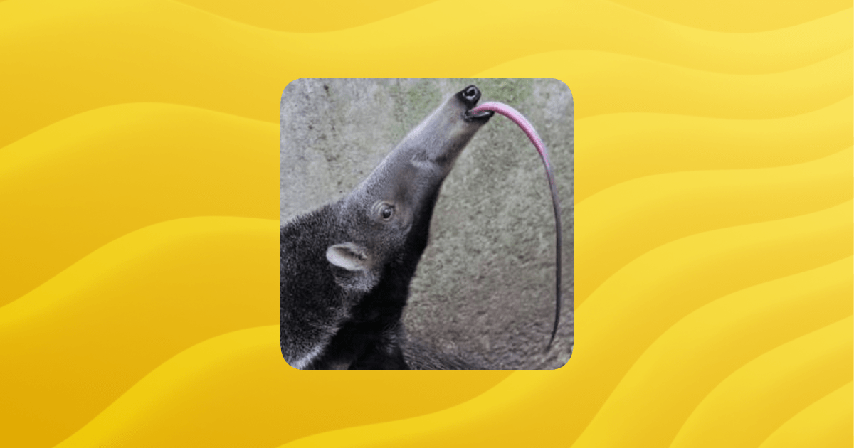 Tycoon Tribe Guilded - Download Premium Abstract Picture | 4K