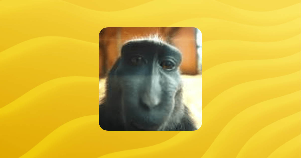 Overview House Guilded - Geometric Illustration Collection - 4K Quality