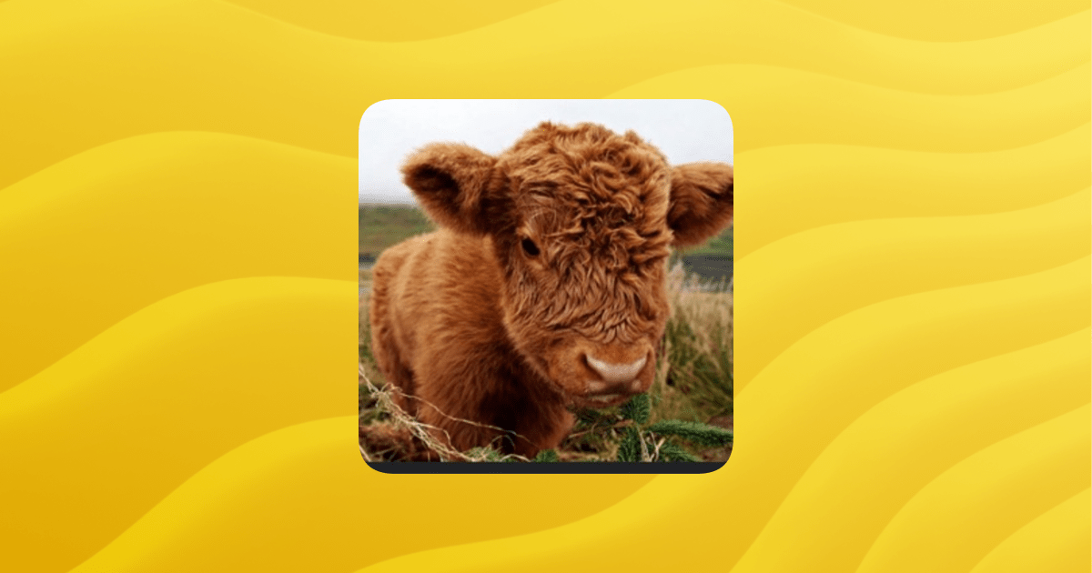 Overview Ray Guilded - Best Minimal Arts in 8K