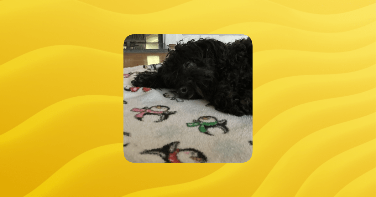 French Communications Guilded - Best Mountain Backgrounds in 8K