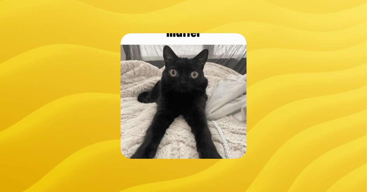 Overview Dank Memes Guilded - Download Perfect Landscape Illustration | Ultra HD