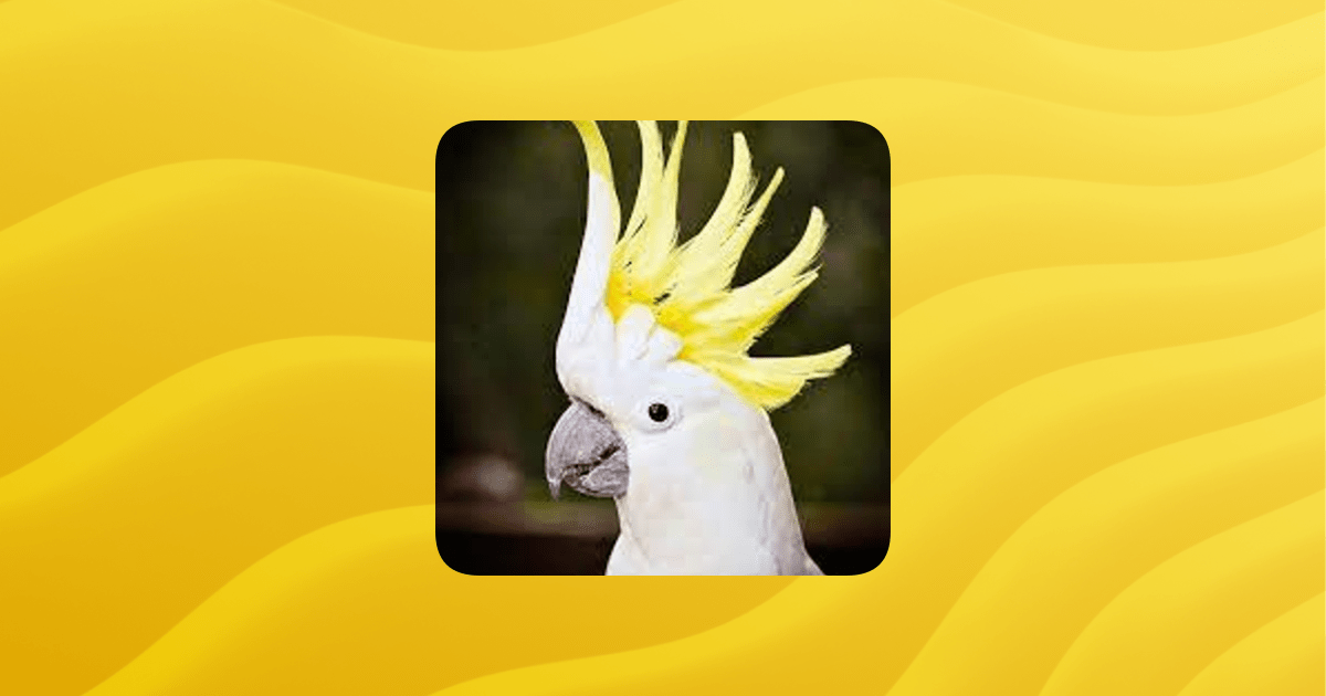 Battlegrounds Guilded - Best Ocean Arts in Ultra HD