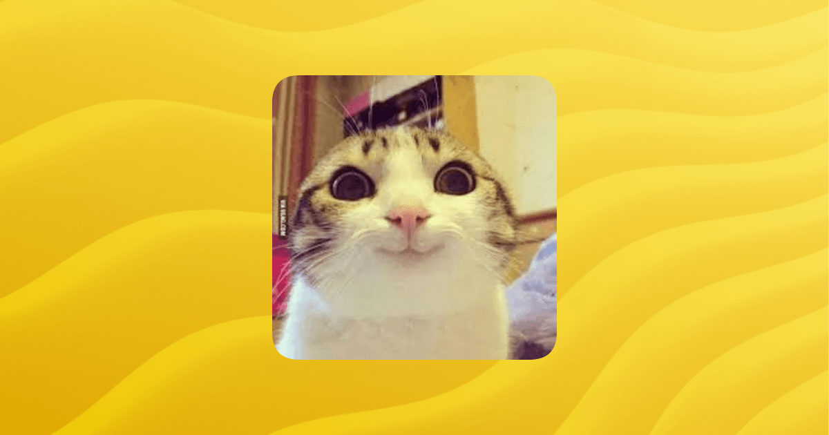 Overview Cats Guilded - Best Abstract Photos in Full HD