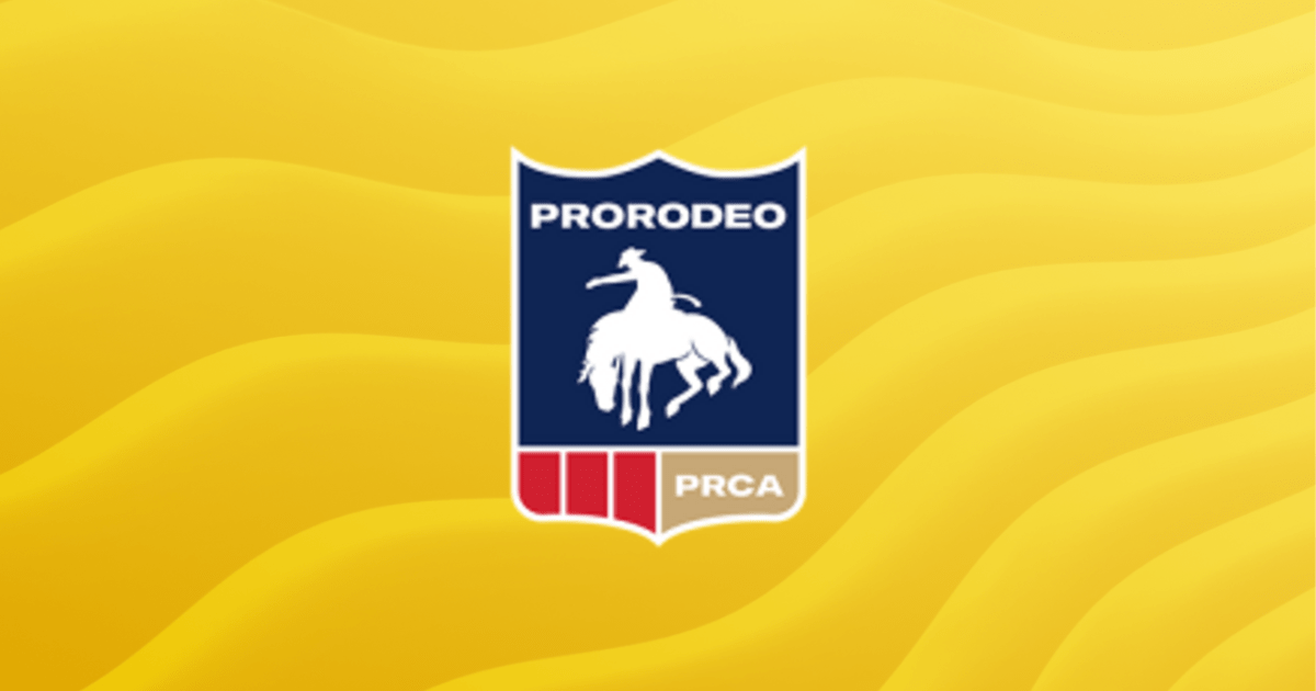 Pro Server Guilded - Ultra HD Mobile City Wallpapers | Free Download