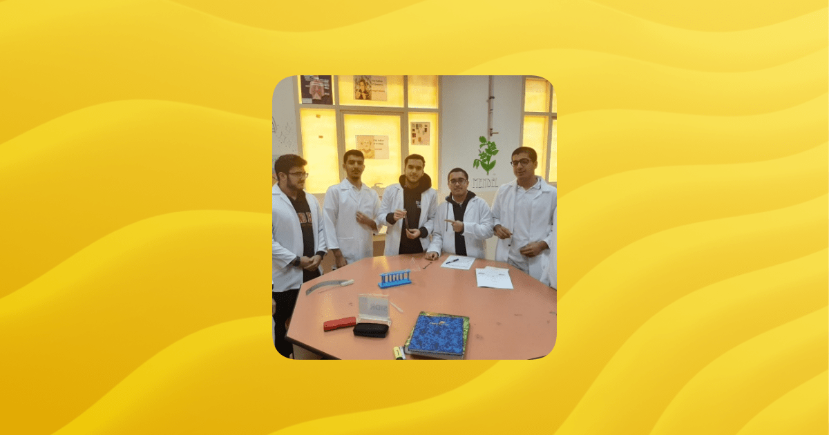 D E B Guilded - Landscape Illustrations - Incredible Full HD Collection