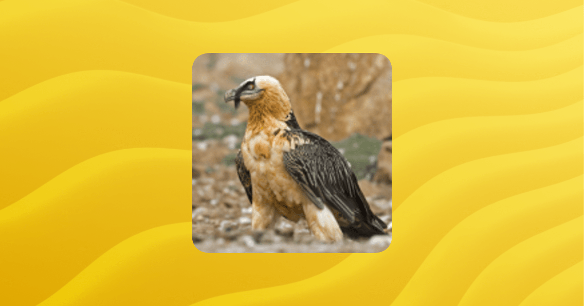 Overview David7133s Ugc Guilded - Best Gradient Images in 4K