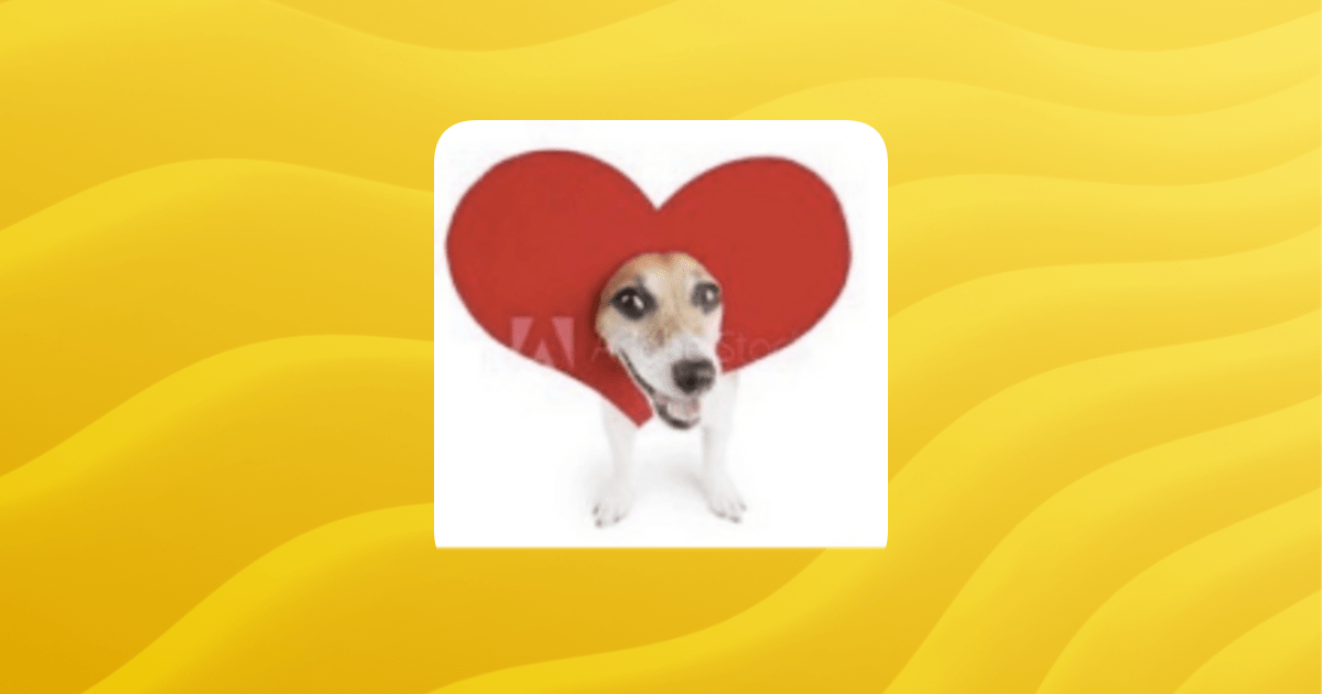 United Gamers Guilded - City Photo Collection - HD Quality