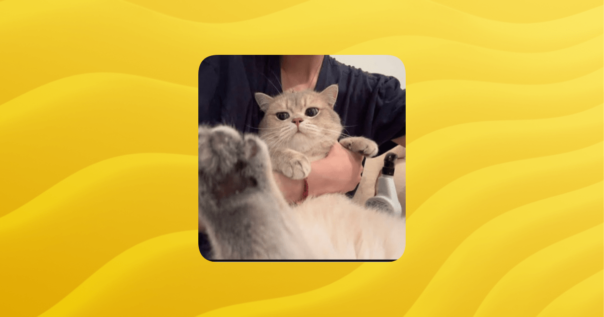 Chill And Hangout Guilded - Artistic High Resolution Light Textures | Free Download