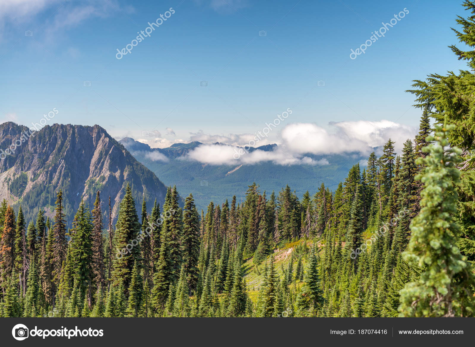 A Simple Intro To Higher Order Functions In Javascript Hashnode - Desktop City Photos for Desktop