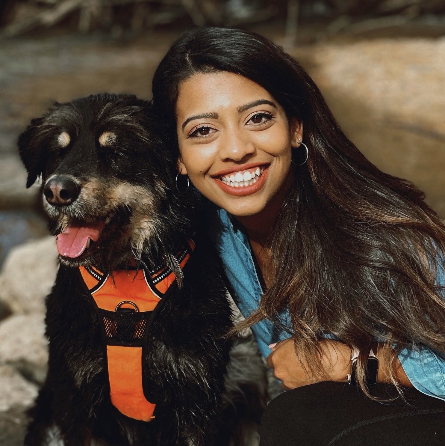 Lisa D Souza Hashnode - Download Ultra HD Geometric Illustration | High Resolution