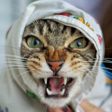 Eugene Chan Hashnode - Gorgeous Geometric Pattern - Full HD