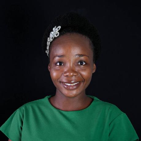 Boluwatife Aduloju Hashnode - Premium Sunset Pattern Gallery - Retina