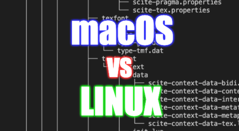 Case Sensitivity On Macos - Download Stunning Mountain Picture | 8K