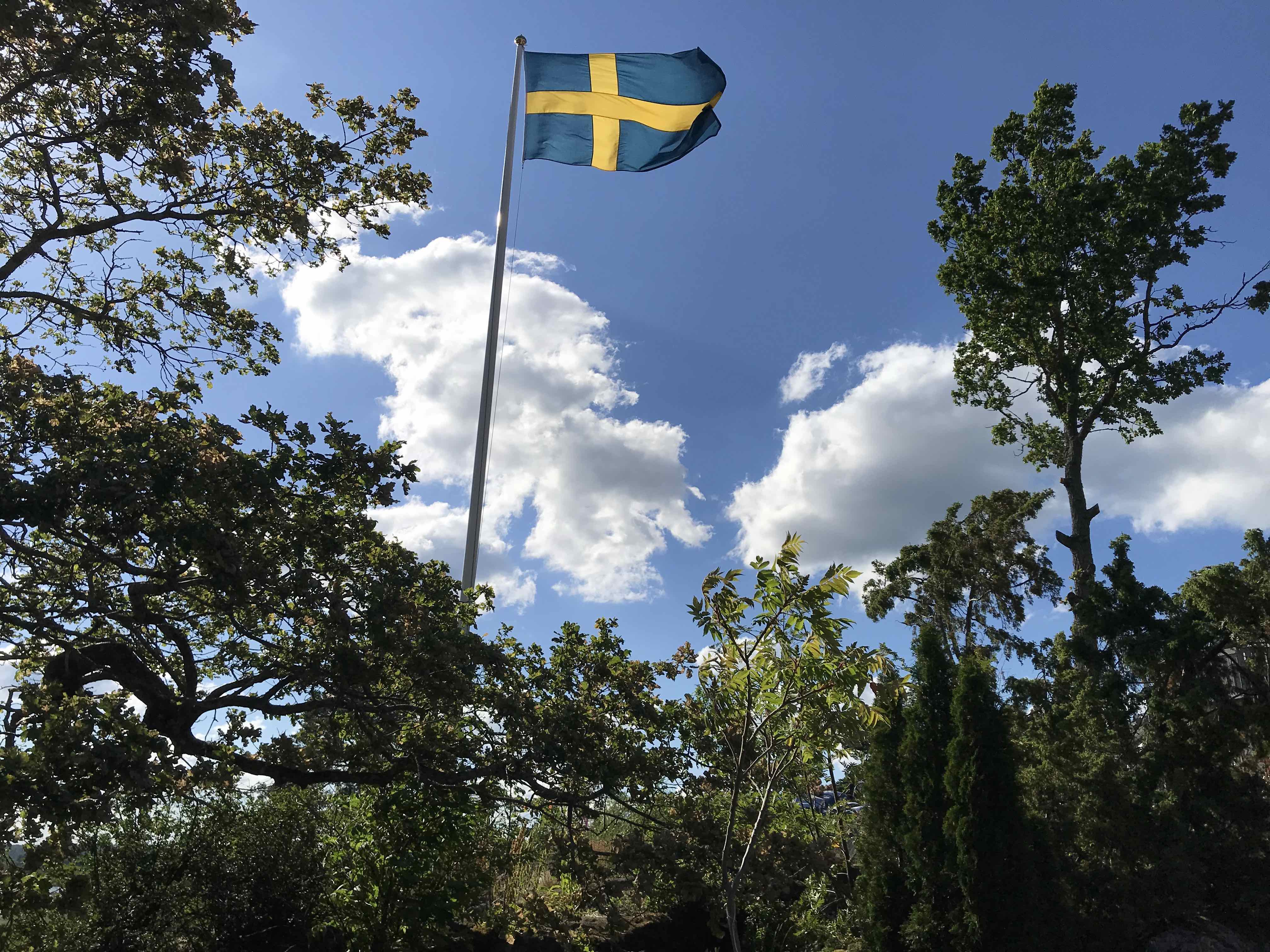 Jpa Best Practices Identity Generators - Professional Full HD City Photos | Free Download