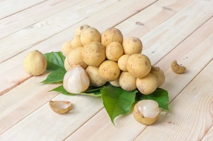 10 Manfaat Buah Duku untuk Kesehatan Tubuh Anda