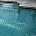 Staff was very energetic and helpful. POOL FACTS: Topeka KS Hotels with Pool (Indoor + Outdoor)