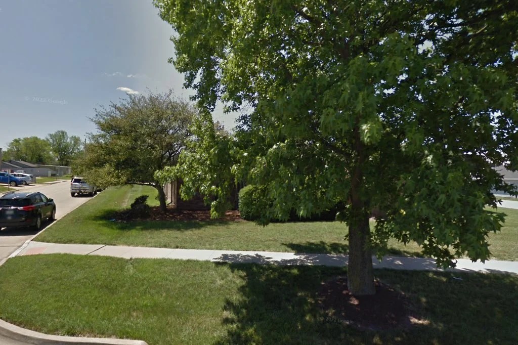 Animal hospital in columbia, mo