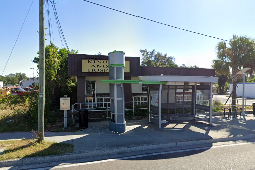 Animal hospital in tampa, fl