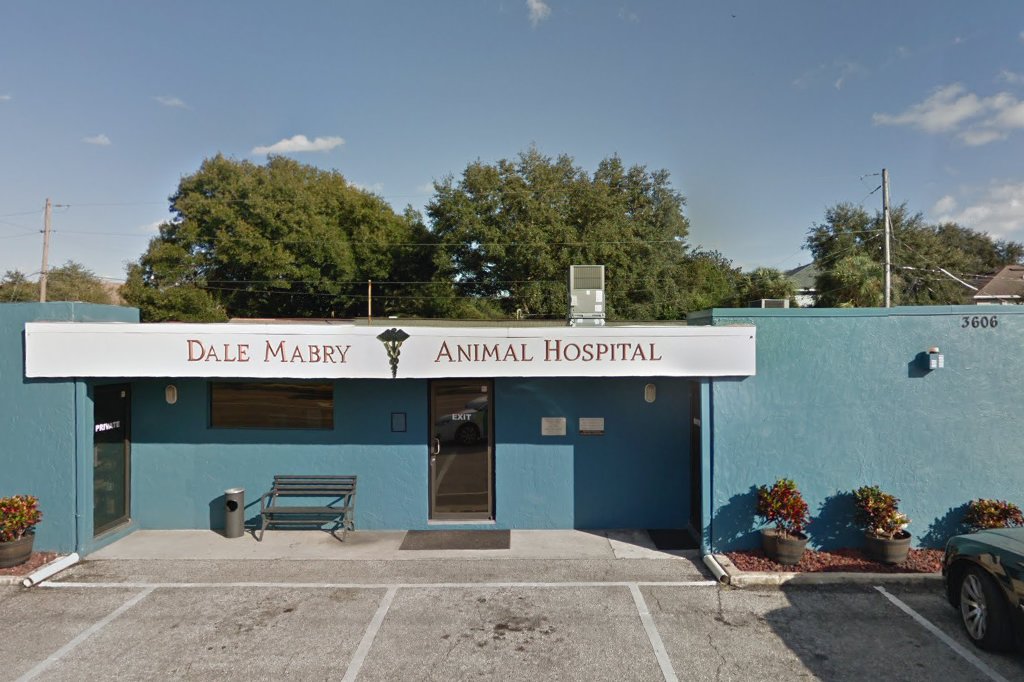 Animal hospital in tampa, fl