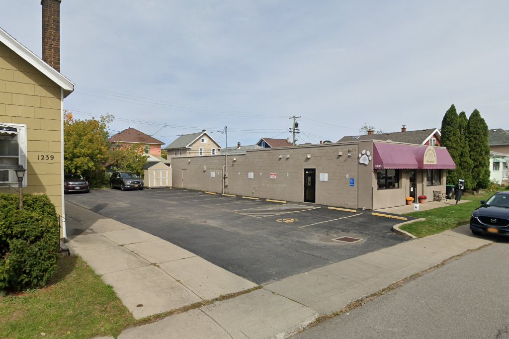 Animal hospital in buffalo, ny