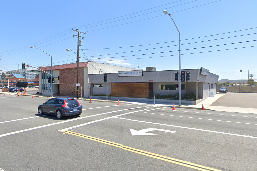 All pets veterinary hospital in rancho palos verdes, ca