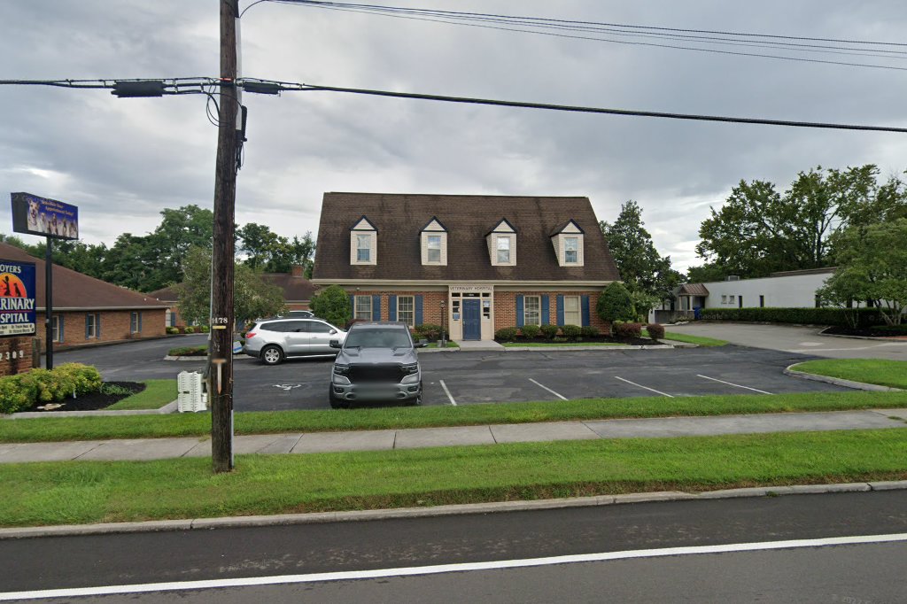 Morristown animal hospital in morristown, tn