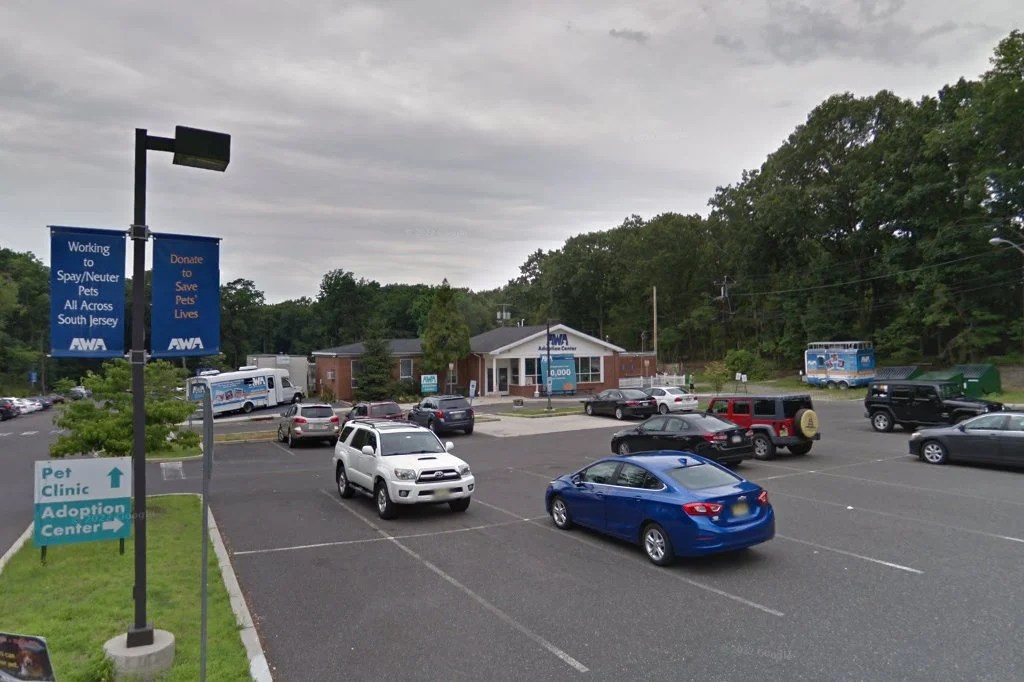 Animal shelter in voorhees, nj